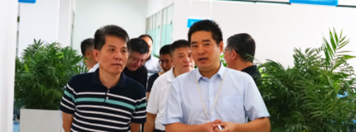 省经信厅副厅长柯文斌 一行莅临中水龙8国际指导调研事情