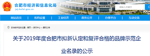 中水龙8国际荣获合肥市品牌树模企业称呼