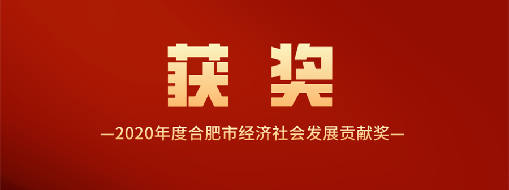 又得一奖！中水龙8国际喜获2020年度合肥市经济社会生长孝顺奖