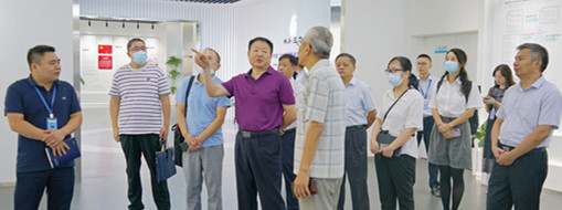 ?湖北省生态情形厅科合随处长张忠华一行莅临中水龙8国际调研指导